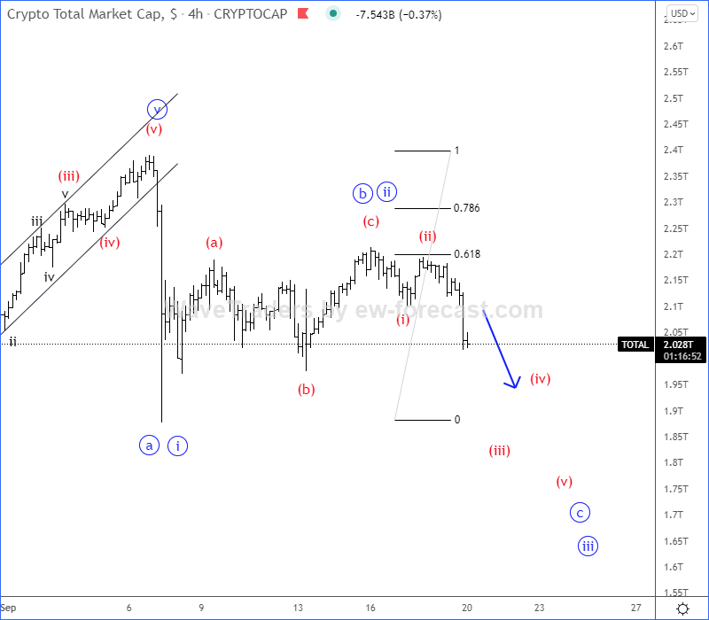 total Elliott Wave Analysis