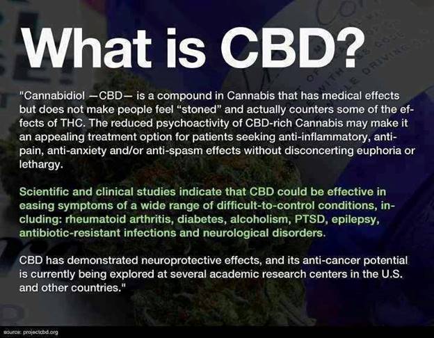 Taking Marijuana In Another Direction – Kalytera Therapeutics