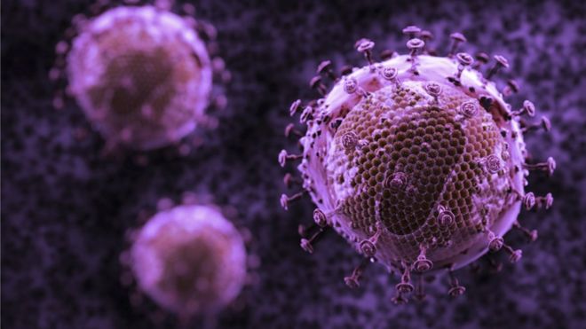 PrudentBiotech.com ~ Illustration of T-Cell Receptor