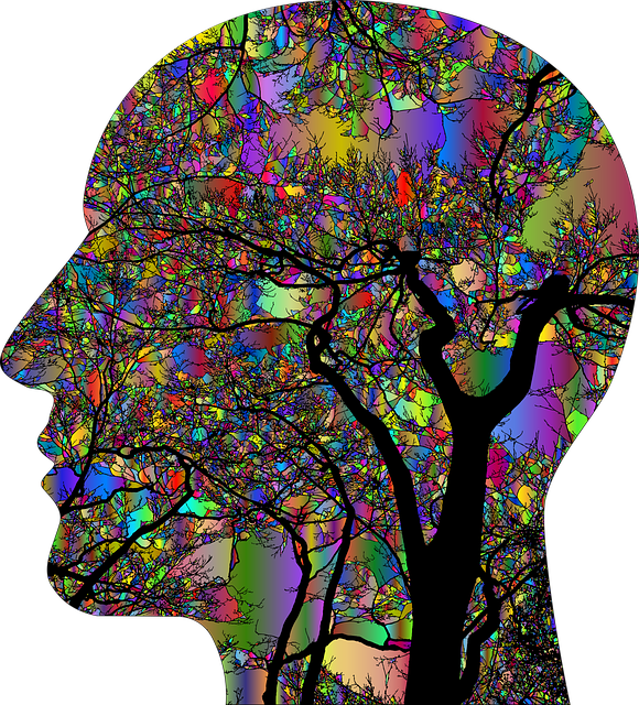 Psychedelic Medicine: The New Frontier In Healthcare, The Big Opportunity In Biopharma
