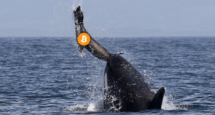 BTC whale