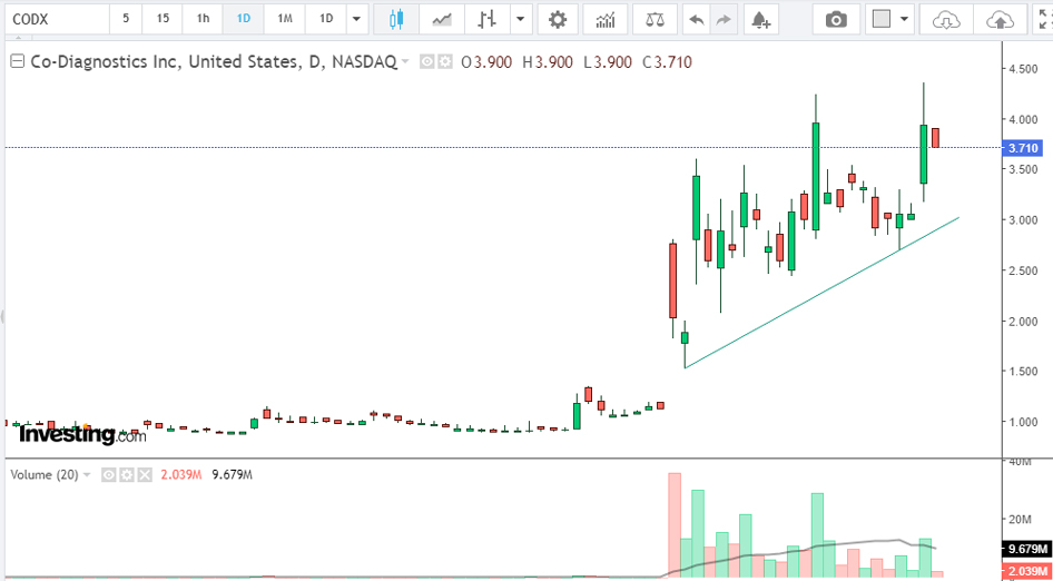 CODX multibagger